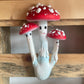 Devan Smith Mushrooms